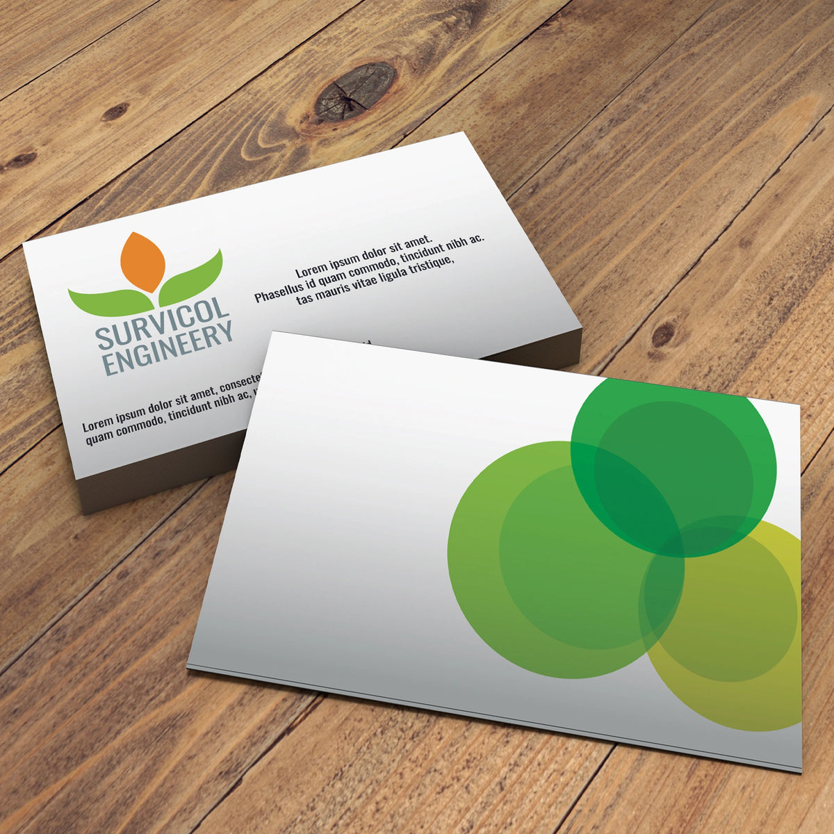 Eco-Friendly Business Cards – Custom Sustainable Design