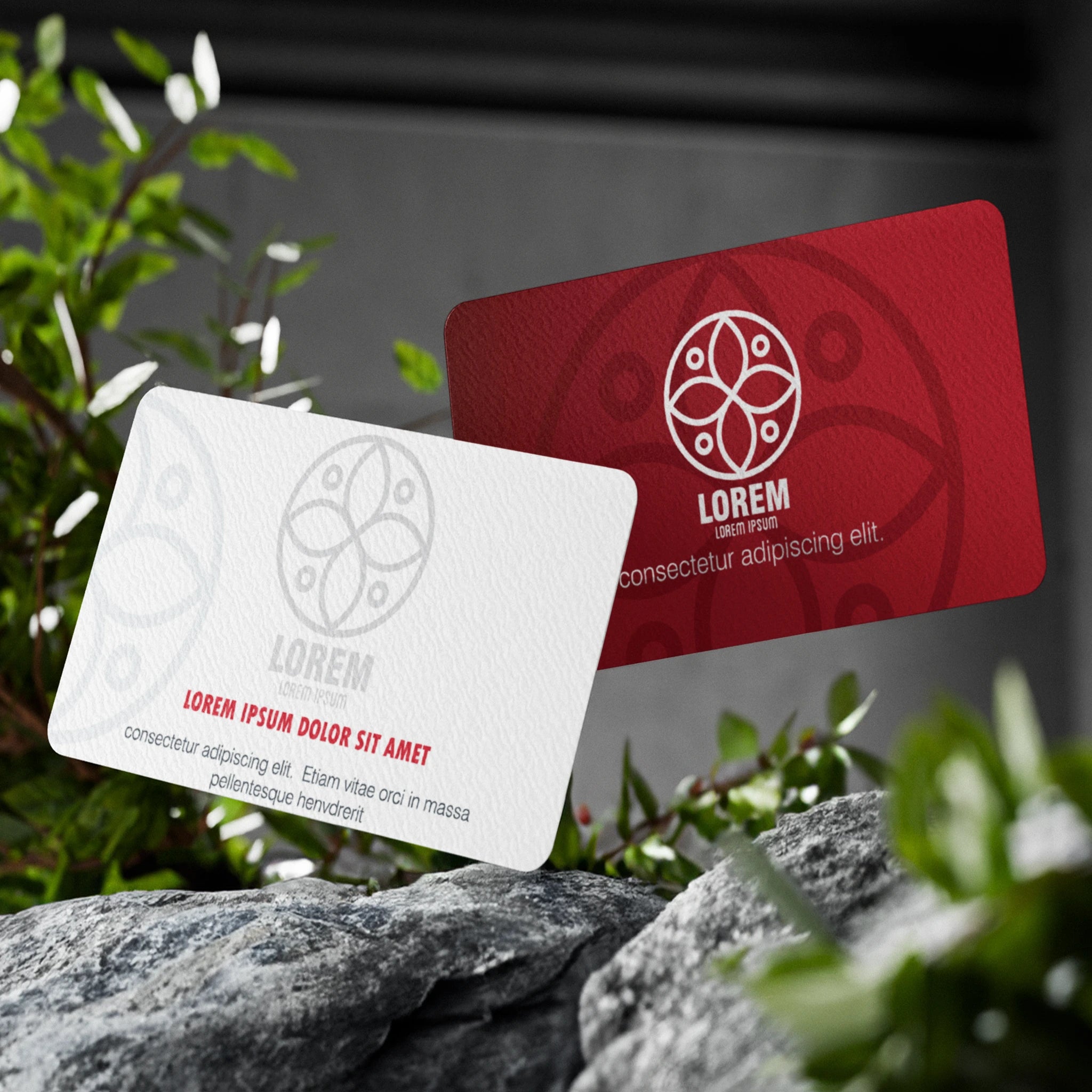 Elegant Red & White Business Cards – Bold & Professional