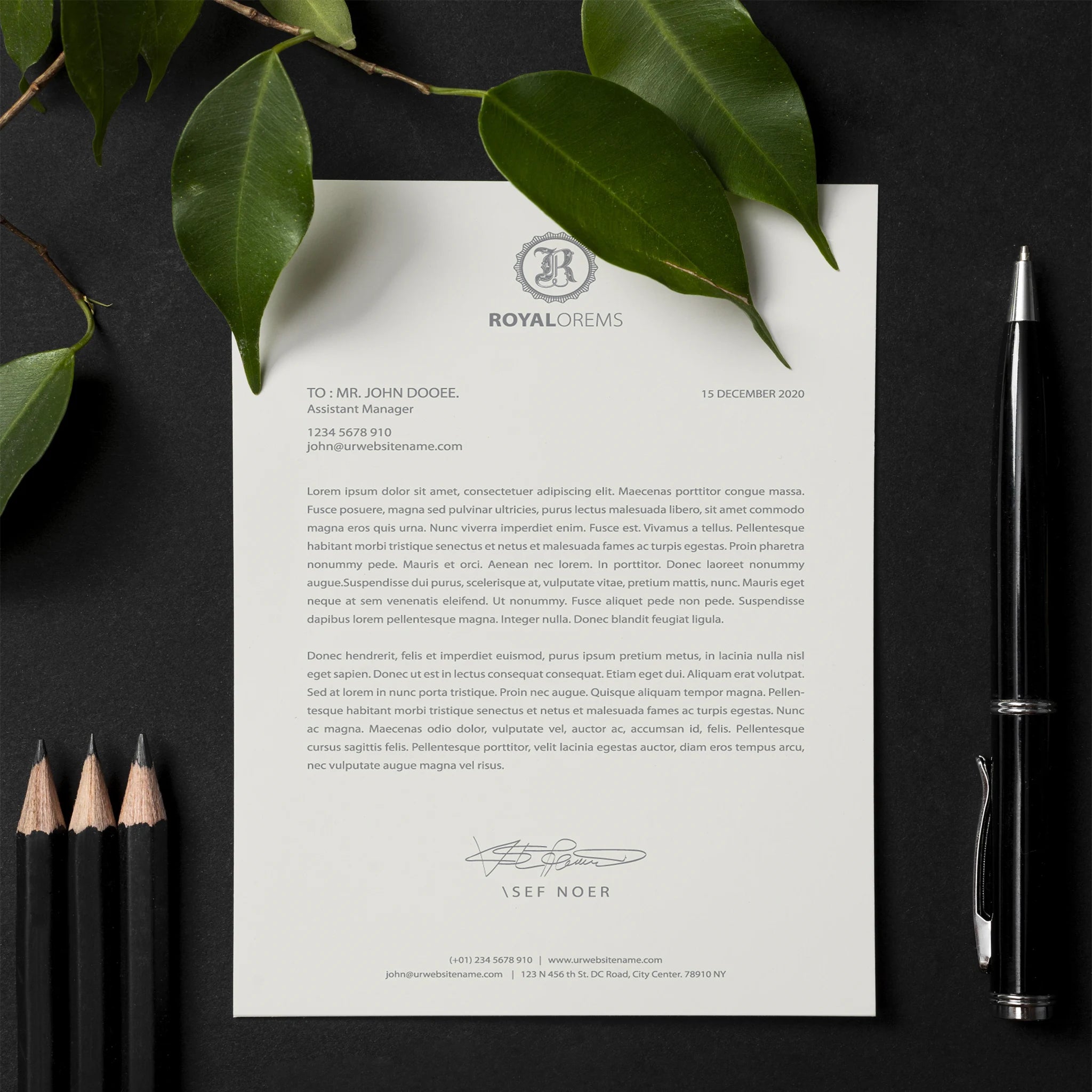 Premium Business Letterhead – Elegant & Professional