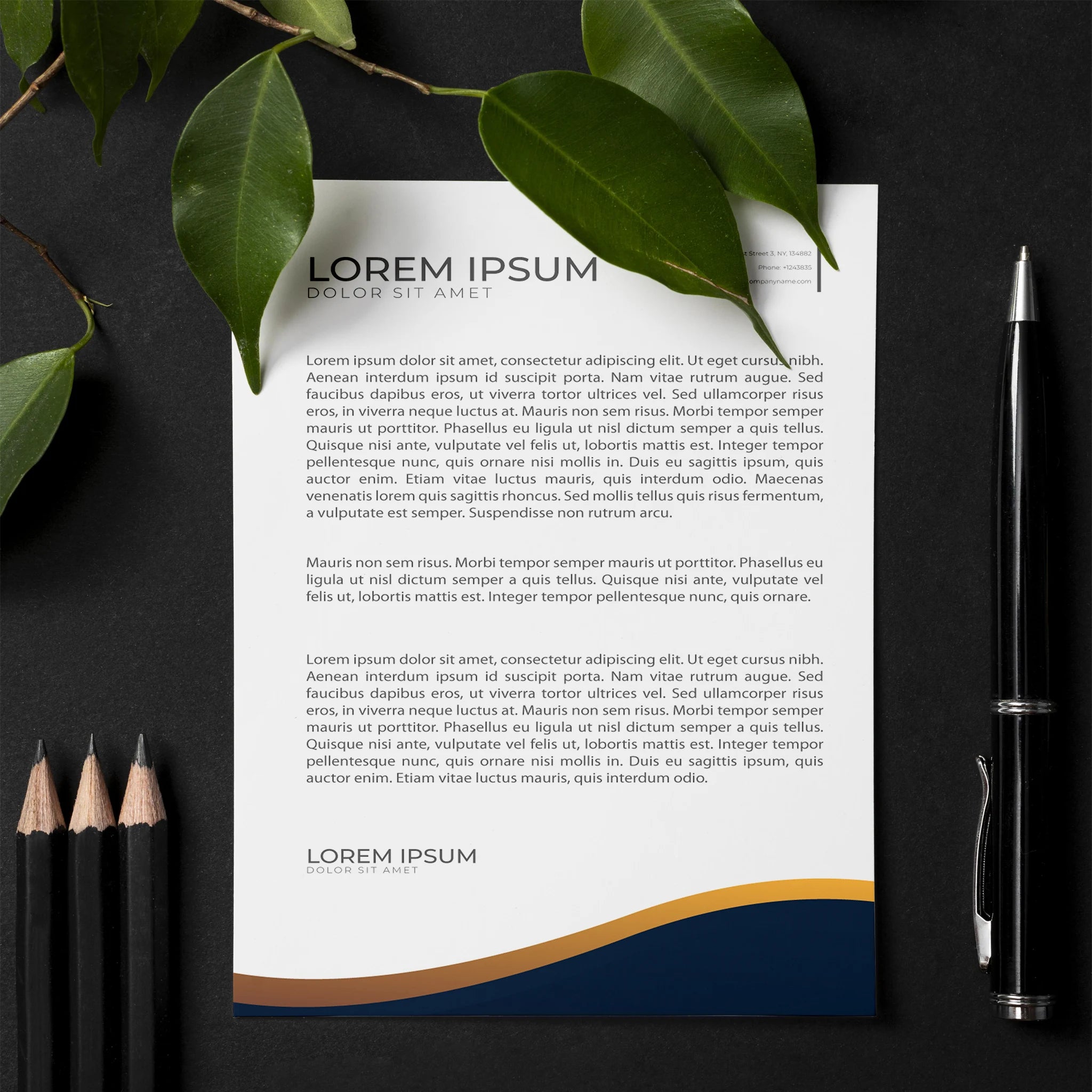 Elegant Business Letterhead – Premium & Professional