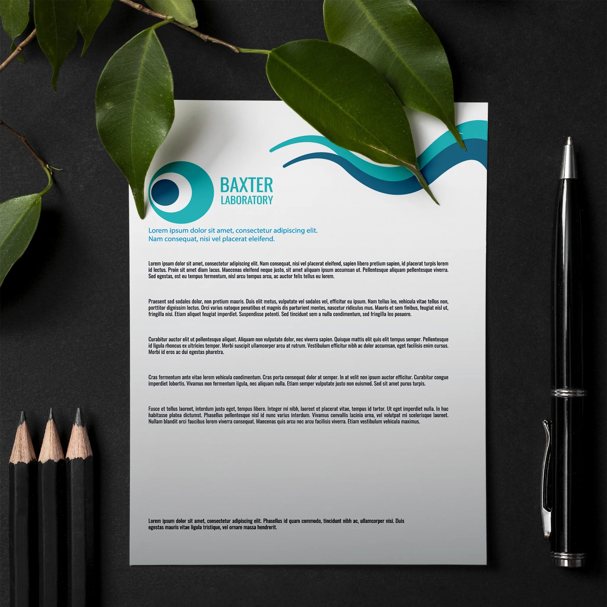 Baxter Laboratory Letterhead – Modern & Professional