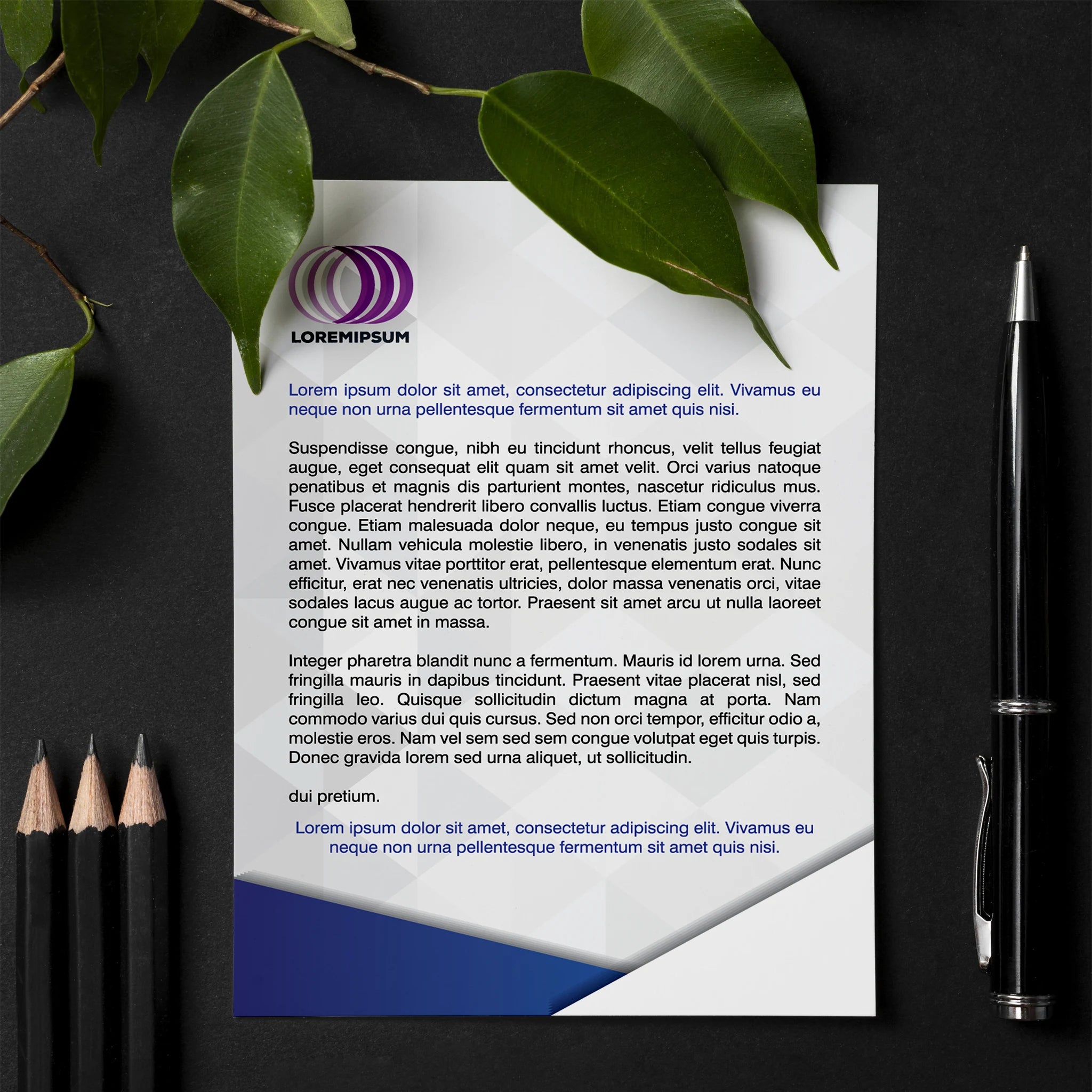 Premium Business Letterhead – Elegant & Professional Corporate Stationery